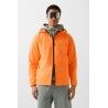 Vibrant Orange