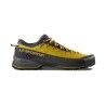 Yellow / Purple
