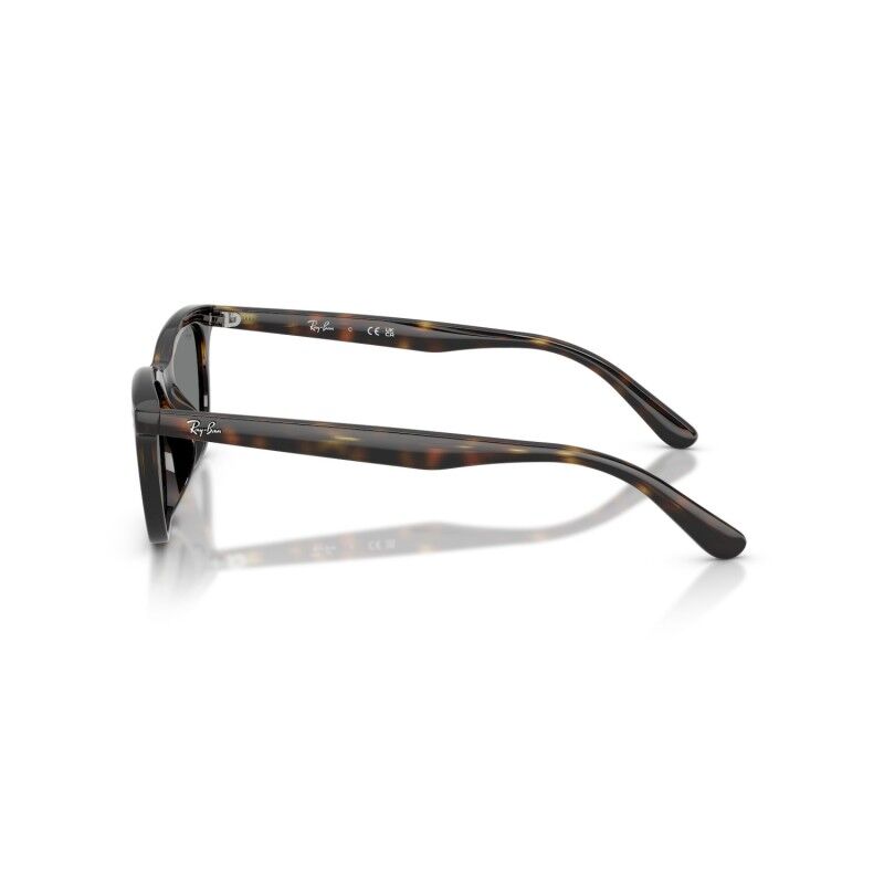 Ray-Ban RB4474D - Solglasögon | Hardloop