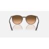 Ray-Ban RB2204 - Sunglasses | Hardloop