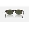 Ray-Ban RB2224 - Sunglasses | Hardloop