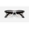 Ray-Ban Wayfarer Street Neat - Sunglasses | Hardloop