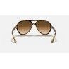 Ray-Ban Cats 5000 - Sunglasses | Hardloop