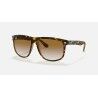 T60 - Light Havana