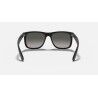 Ray-Ban Justin - Lunettes de soleil | Hardloop