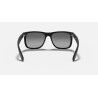 Ray-Ban Justin - Sluneční brýle | Hardloop