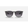 Ray-Ban Erika - Lunettes de soleil | Hardloop