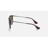 Ray-Ban Erika - Sluneční brýle | Hardloop