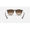 Ray-Ban Erika - Lunettes de soleil | Hardloop