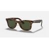 T50 - Light Havana