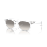 T55 - Transparent