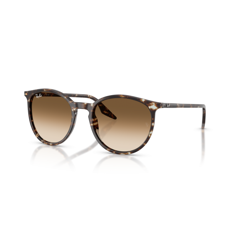 RB2204 - Sunglasses