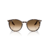 Ray-Ban RB2204 - Aurinkolasit | Hardloop