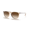 T54 - Transparent Light Brown