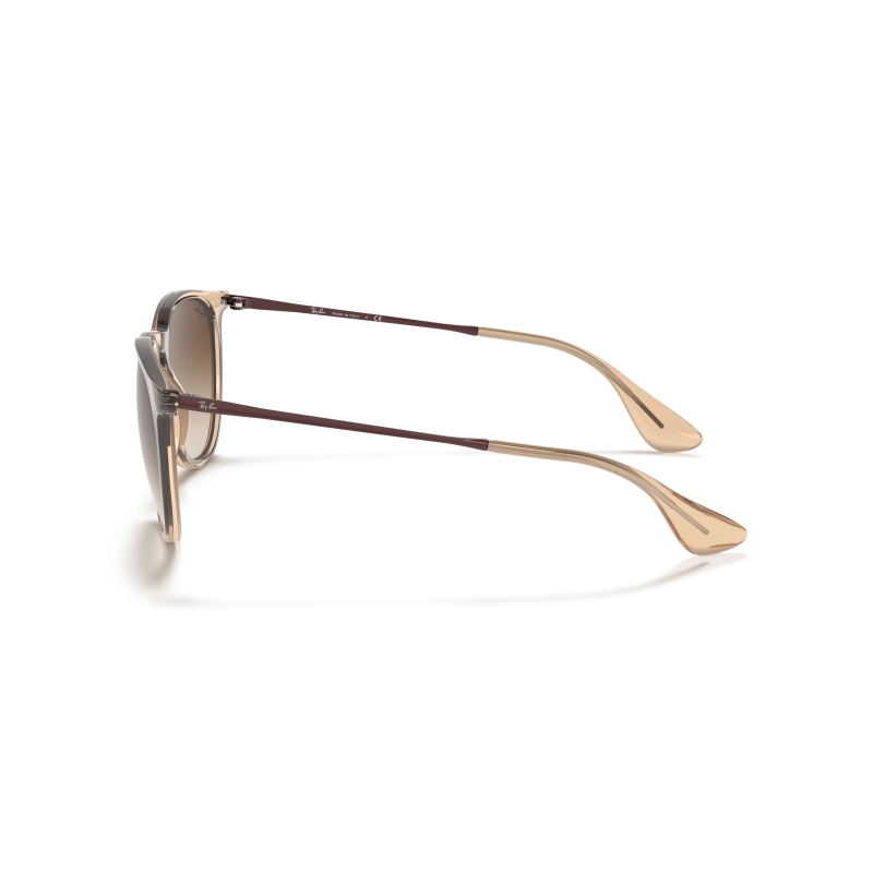 Ray-Ban Erika - Sonnenbrille | Hardloop