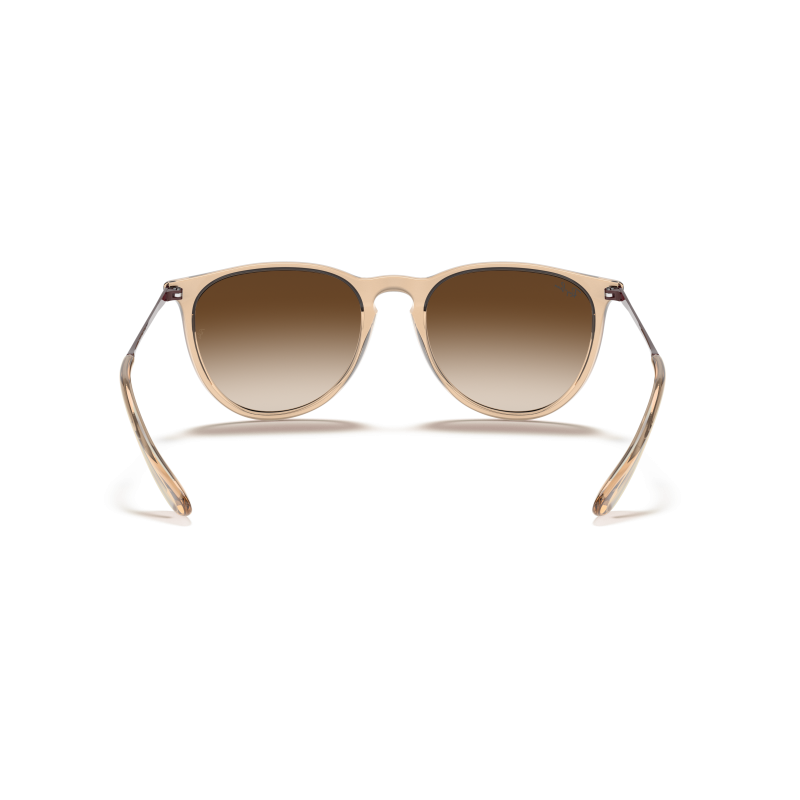 Ray-Ban Erika - Sonnenbrille | Hardloop