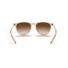 Ray-Ban Erika - Sonnenbrille | Hardloop
