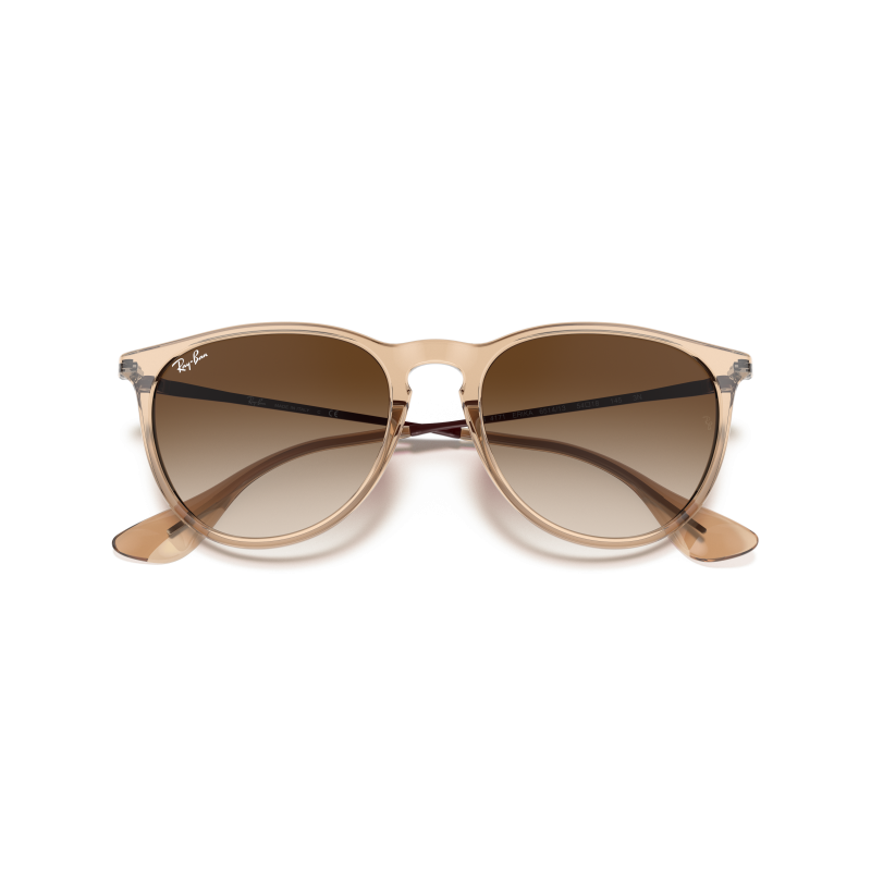 Ray-Ban Erika - Sonnenbrille | Hardloop