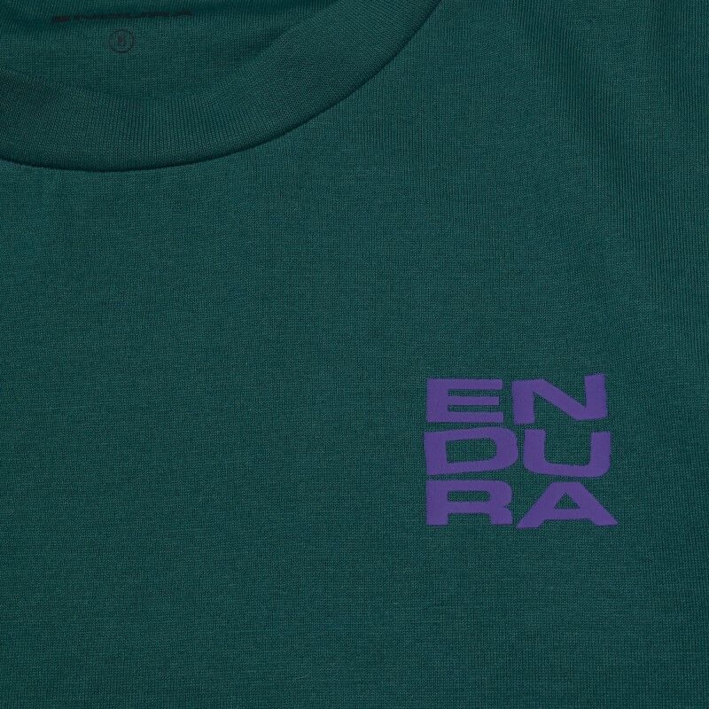 Endura Stacked Logo Graphic Tee - Fietsshirt | Hardloop