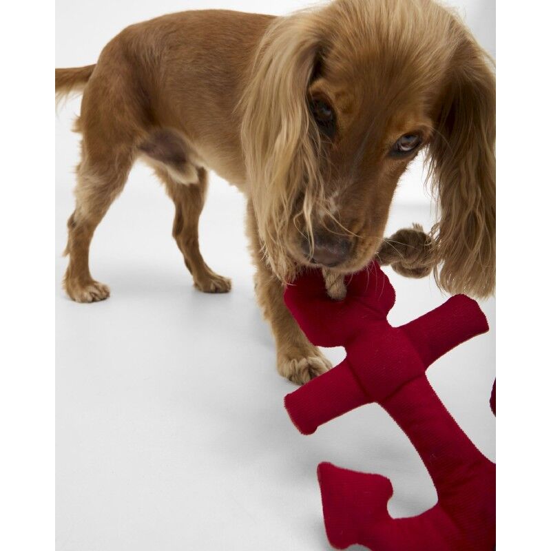 Dog Anchor Toy - Accessoire pour chien