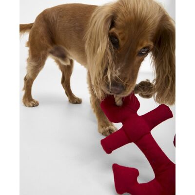Dog Anchor Toy - Dog gear