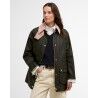 Archive Olive / Ancient / Gar