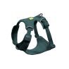 Deep Teal