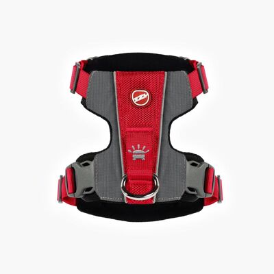 X-Link Harness - Harnais pour chien