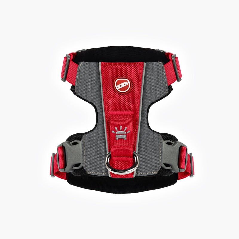 X-Link Harness - Hundsele