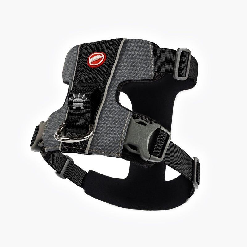 EzyDog X-Link Harness - Hondentuig | Hardloop