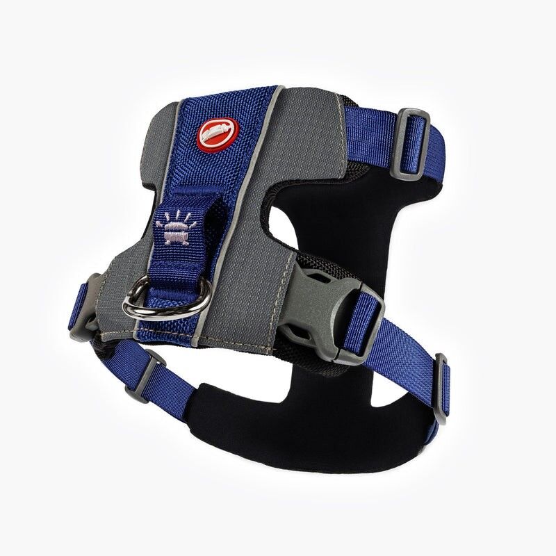 EzyDog X-Link Harness - Dog harness | Hardloop