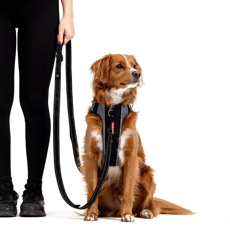 EzyDog Vario 6 - Vodítko pro psa | Hardloop
