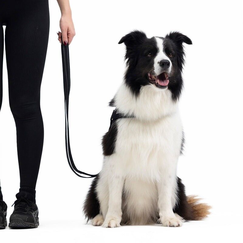 EzyDog Vario 4 - Laisse pour chien | Hardloop