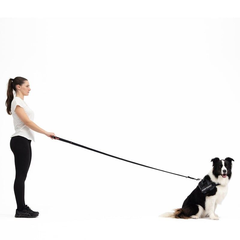 EzyDog Vario 4 - Dog lead | Hardloop
