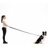 EzyDog Vario 4 - Koiran hihnat | Hardloop