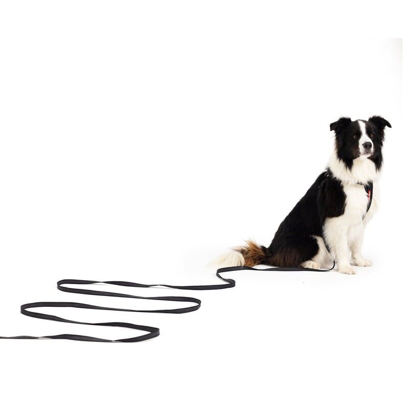 EzyDog Track n Train - Correa para perro | Hardloop