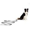 EzyDog Track n Train - Hundkoppel | Hardloop