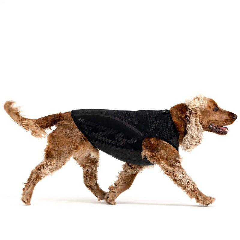 EzyDog Thermax Dog Vest - Hundefrakker | Hardloop