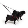 EzyDog Soft Touch Coupler LITE - Koiran tarvikkeet | Hardloop