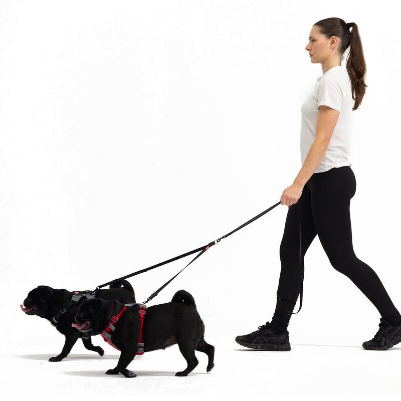 EzyDog Soft Touch Coupler LITE - Akcesoria dla psa | Hardloop
