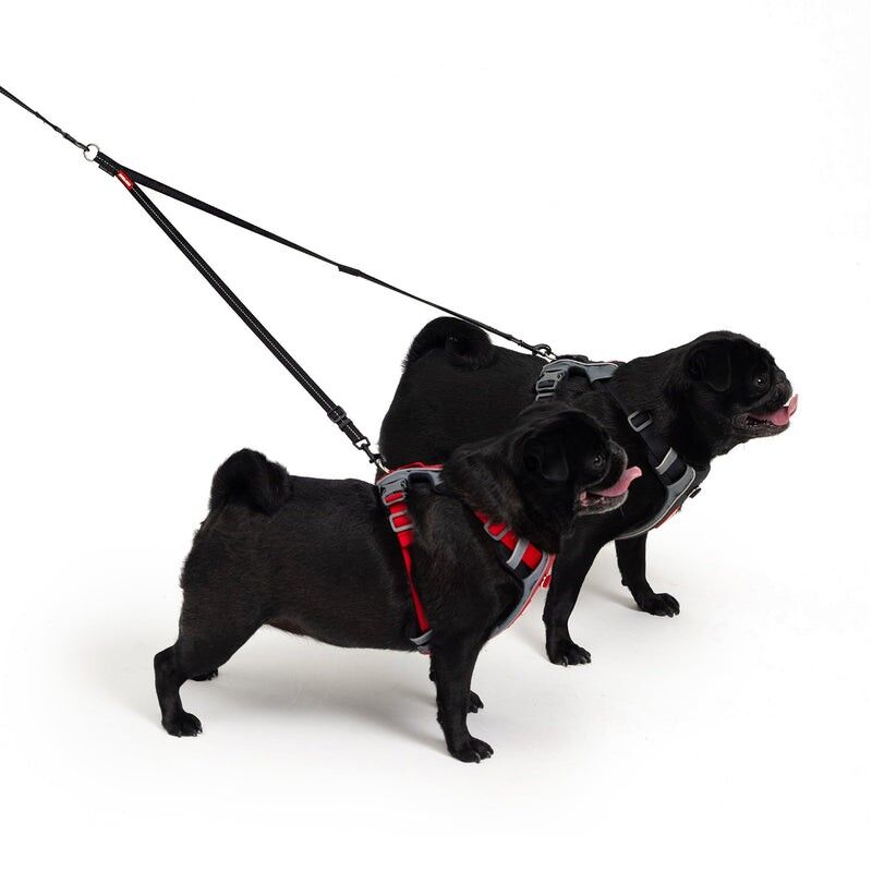 EzyDog Soft Touch Coupler - Dog gear | Hardloop