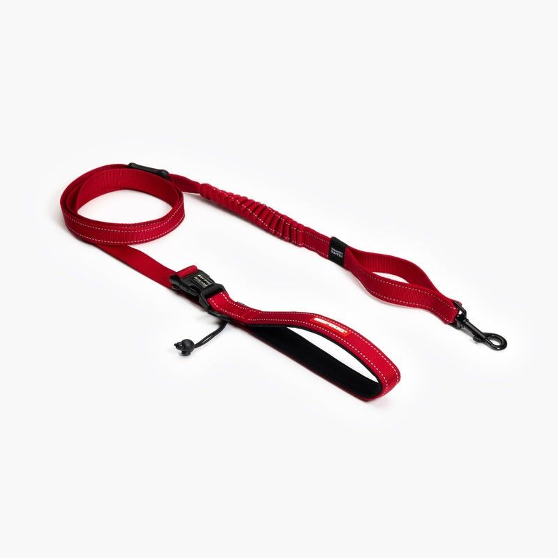 Road Runner Leash - Smycz dla psa