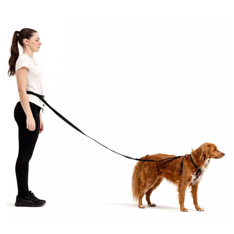EzyDog Road Runner Leash - Correa canicross | Hardloop