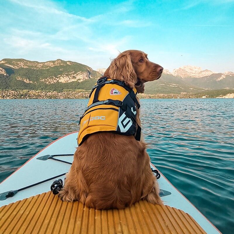 EzyDog DFD Dog Life Jacket - Hunderedningsvest | Hardloop
