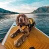 EzyDog DFD Dog Life Jacket - Colete salva-vidas de cachorro | Hardloop
