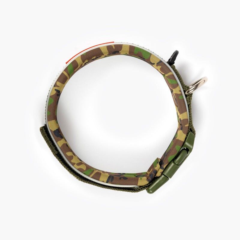 Neo Classic - Hundehalsband