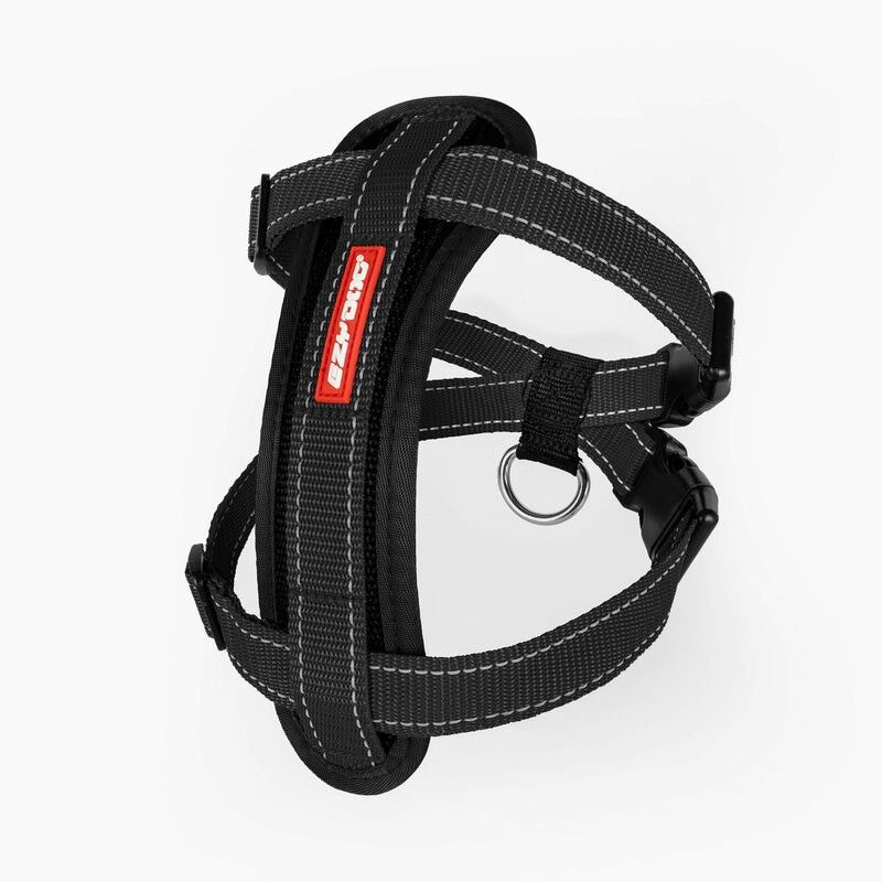 Chest Plate Harness - Hundsele