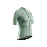 Digital Lime