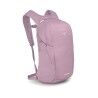 Iris Pink