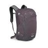 Graphite / Purple Heather